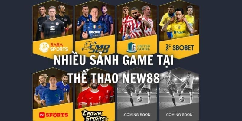 Sơ lược vài nét về thể thao ảo tại New88