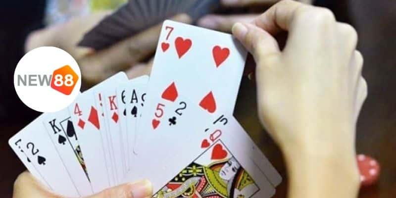 Tổng quan về game bài tiến lên tại nhà cái New88