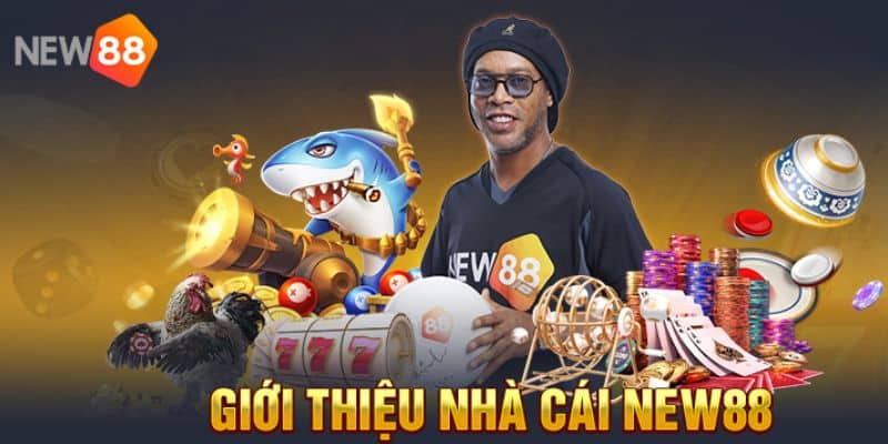 Liên hệ New88 để nâng cao trải nghiệm