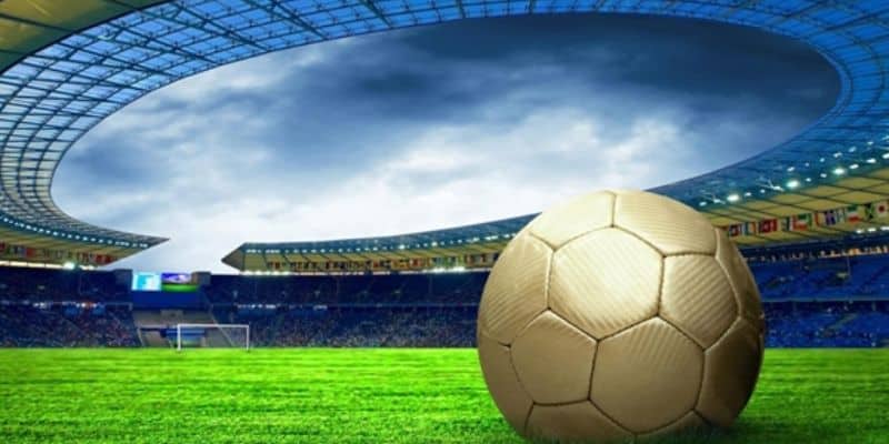 Các bộ môn thể thao New88 hấp dẫn