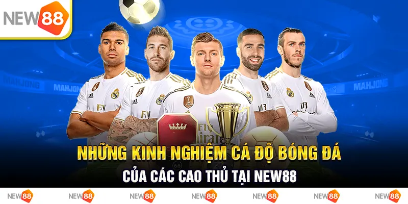 https://new88r.com/kinh-nghiem-ca-do-bong-da/