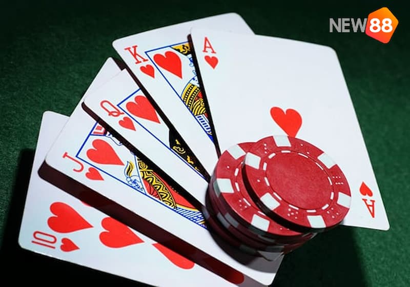 Đừng quên phải đảm bảo tính công bằng trong cách chia bài