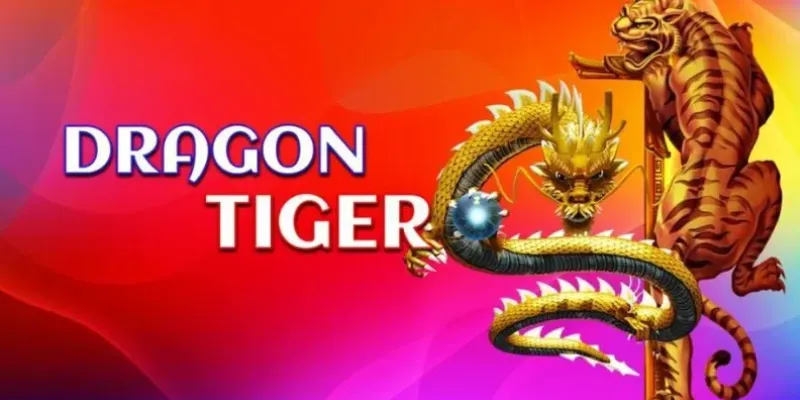 Khám phá các loại cược trong Rồng Hổ và tỷ lệ trả thưởng