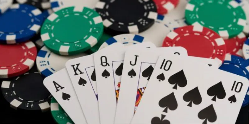 Chơi bài và tiếp nhận bài mới