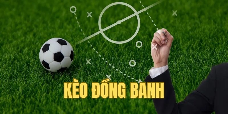 Giới thiệu về kèo đồng banh SHBET