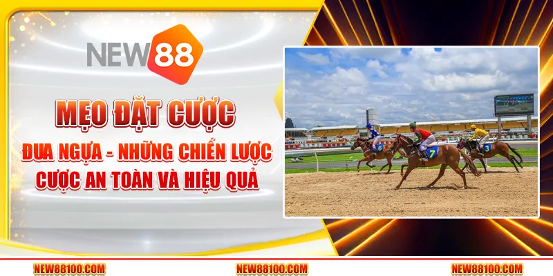 Mẹo đặt cược đua ngựa - Chiến lược giúp bạn tối đa hóa lợi nhuận