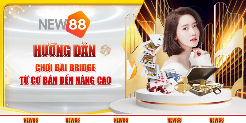 Hướng dẫn chơi bài Bridge tại New88 - Từ cơ bản đến nâng cao