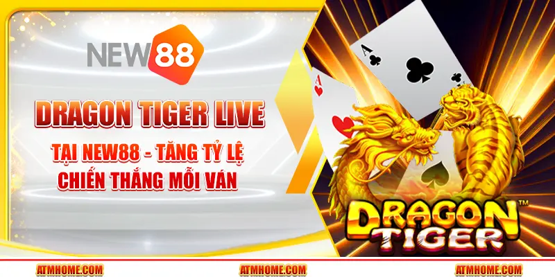 Dragon Tiger Live tại New88 - Tăng tỷ lệ chiến thắng mỗi ván