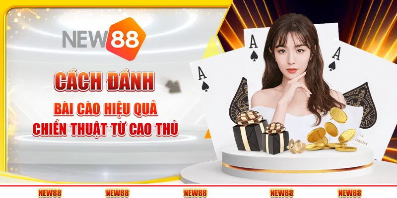 Cách đánh bài cào luôn thắng - Chiến thuật từ cao thủ