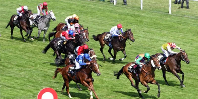 Tìm hiểu thông tin chung về cược đua ngựa
