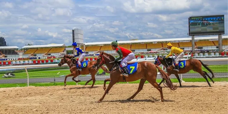 Các hình thức cược phổ biến trong đua ngựa