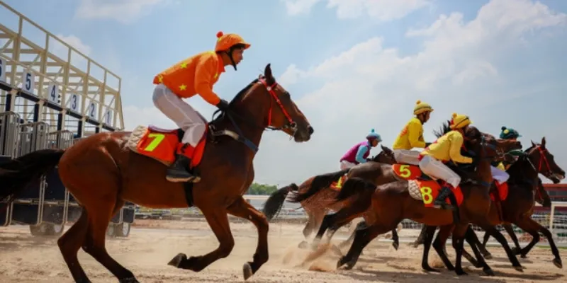 Chia sẻ mẹo đặt cược đua ngựa tăng tỷ lệ thắng