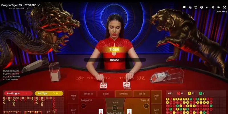 Mách bạn cách soi cầu rồng hổ chuẩn xác nhất