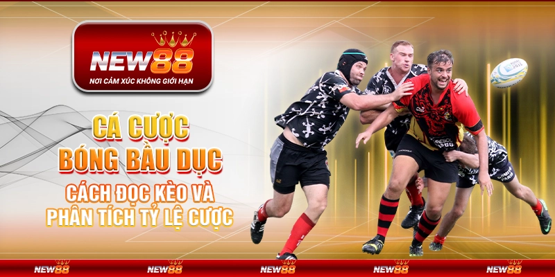 Cá cược bóng bầu dục tại New88 – Cách đọc kèo và phân tích tỷ lệ cược