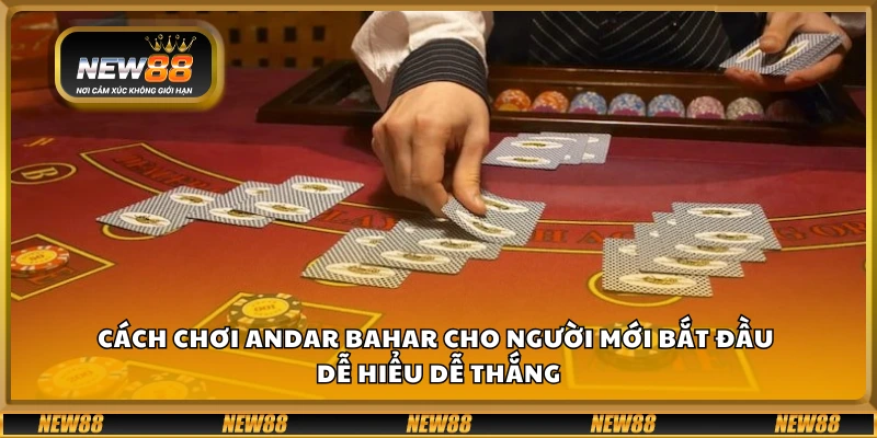 Cách chơi Andar Bahar cho người mới bắt đầu – Dễ hiểu dễ thắng