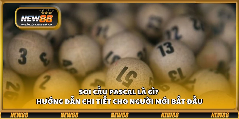 Soi cầu Pascal là gì? Hướng dẫn chi tiết cho người mới bắt đầu
