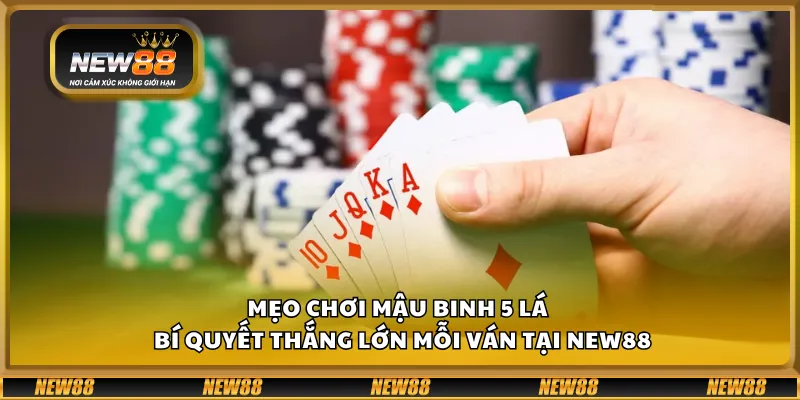 Mẹo chơi Mậu Binh 5 lá – Bí quyết thắng lớn mỗi ván tại New88