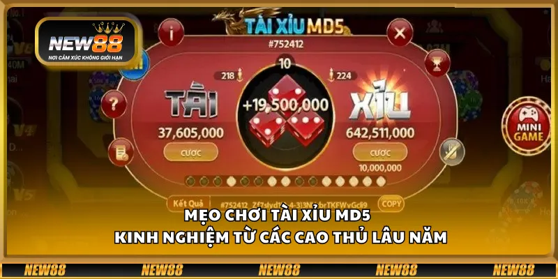 Mẹo chơi tài xỉu MD5 – Kinh nghiệm từ các cao thủ lâu năm