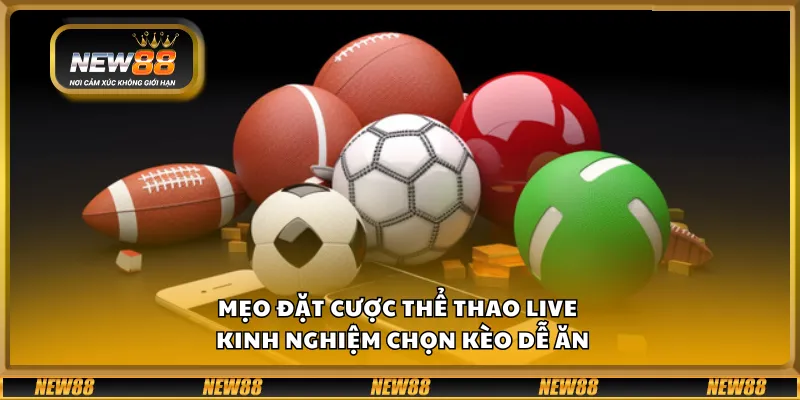 Mẹo đặt cược thể thao live – Kinh nghiệm chọn kèo dễ ăn